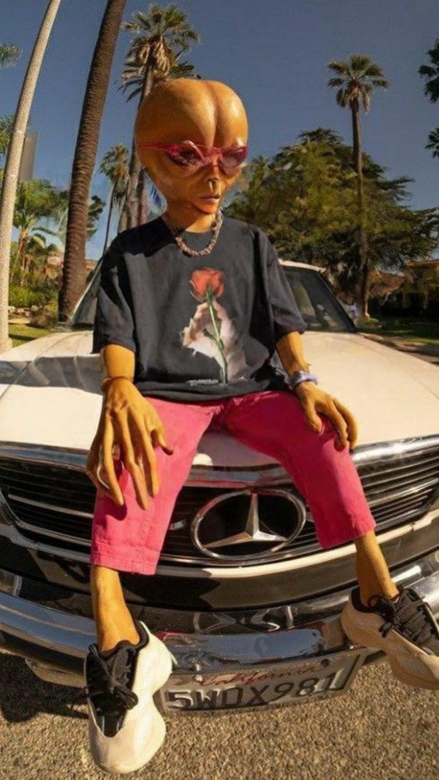 CAMISETA OVERSIZED ESPINHOS